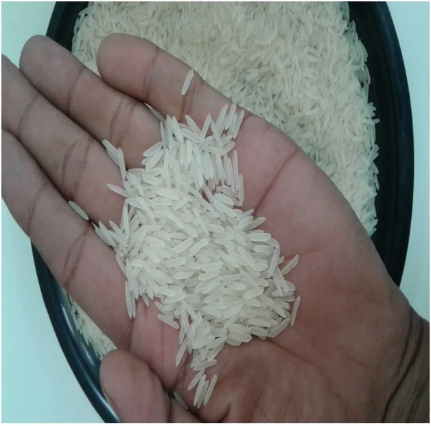 
1121 White Sella Long Grain Basmati Premium Rice 