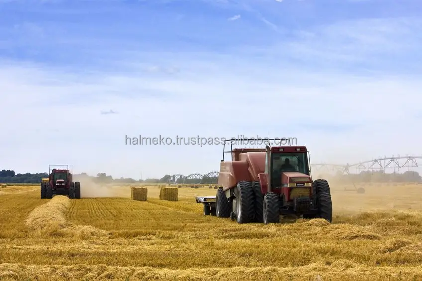 
Wheat bran in straw pellets animal feed 