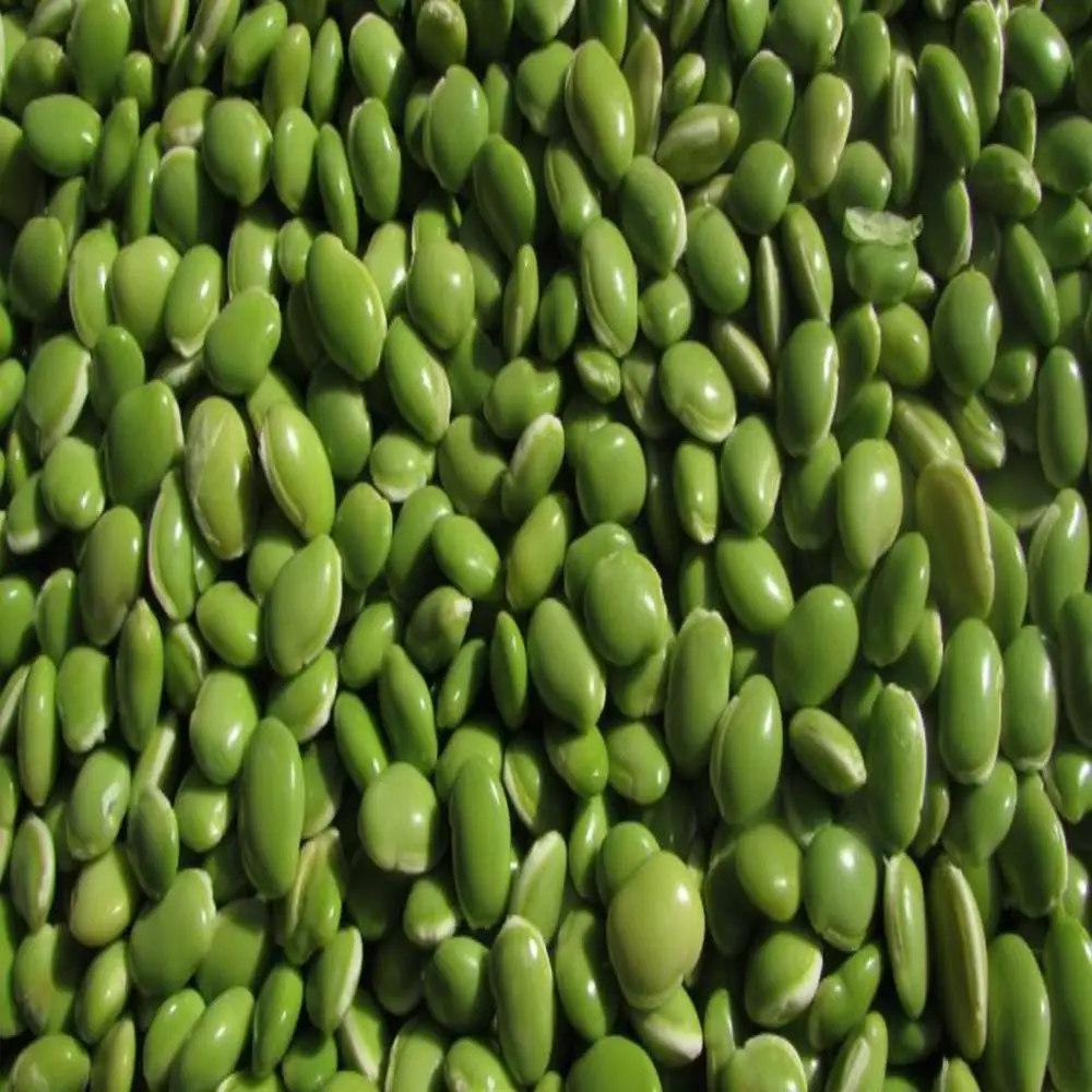 large lima beans