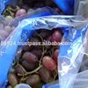 grape