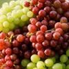 Fresh Grapes
