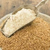 WHEAT