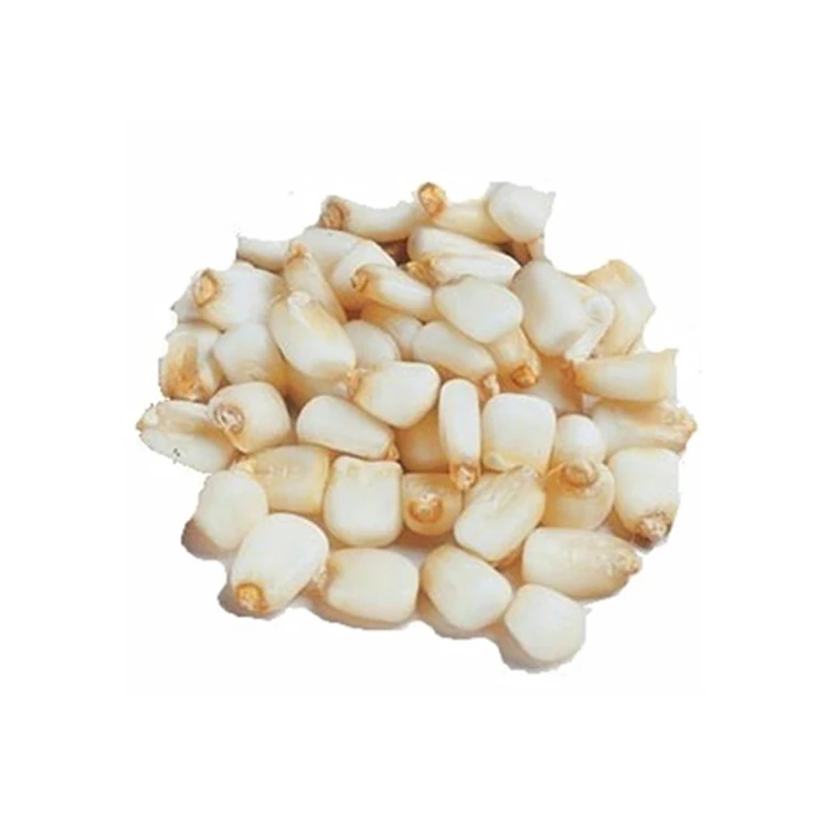
Indian Wholesale White Maize Corn/White Sweet Maize  (50041835322)