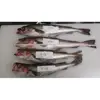 Good Quality Frozen Pollock Fish Alaska Pollock 800g Up