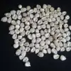 Top Quality White Maize