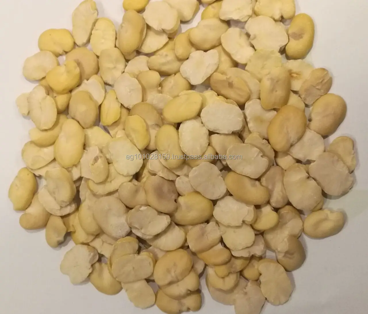 
split broad beans for sale with high quality (grade A) 