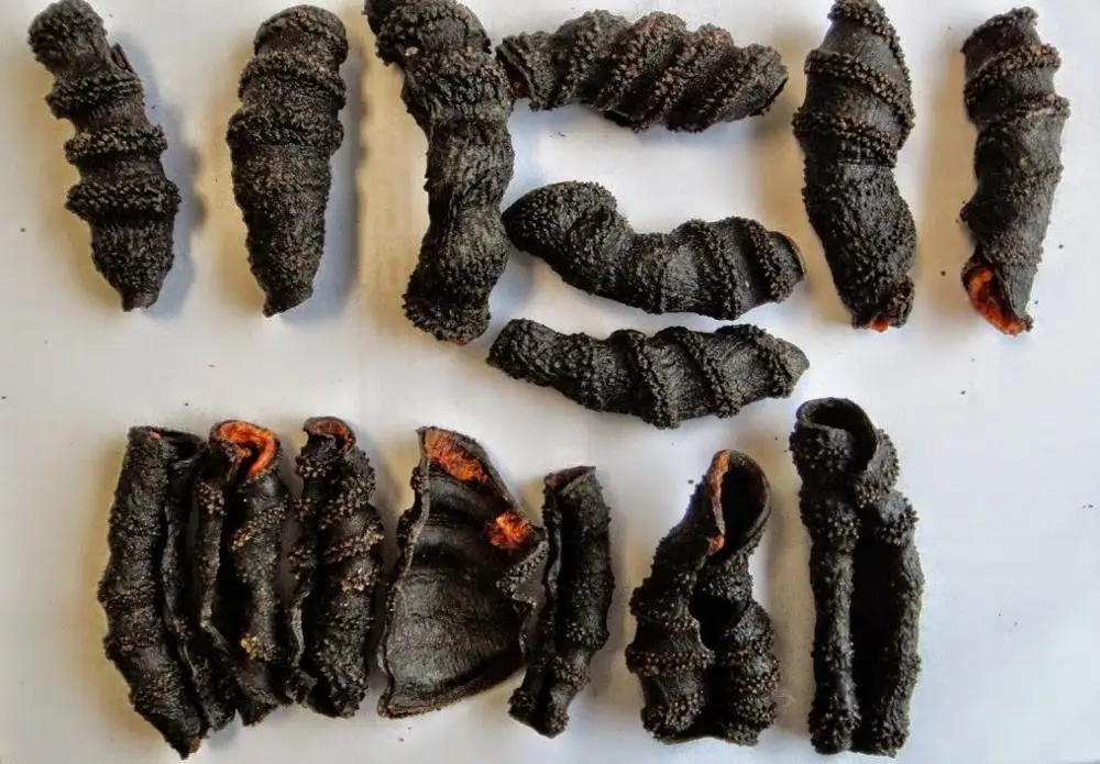 dried-sea-cucumber 2 new