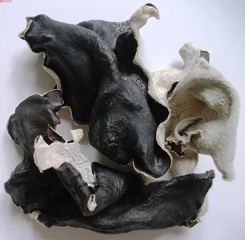 dried black fungus photos