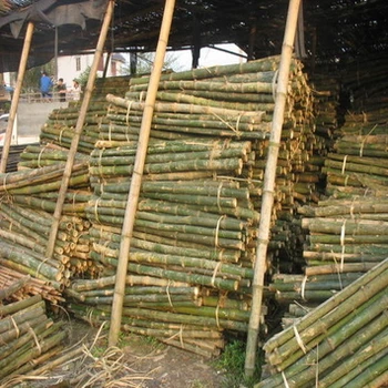 High Quality Bamboo Poles Sale - Buy Uv Protection ...