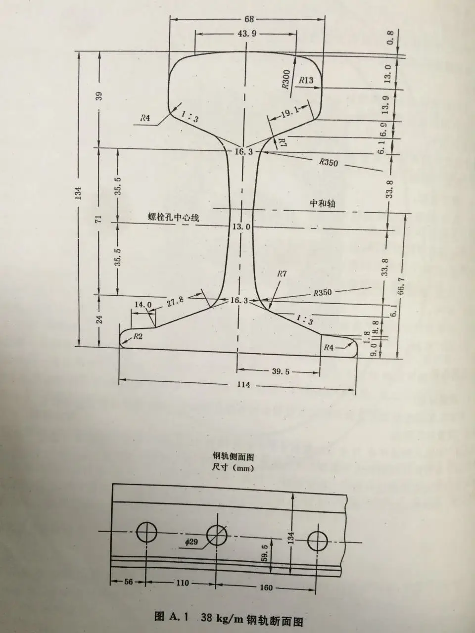 38kg drawing.jpg
