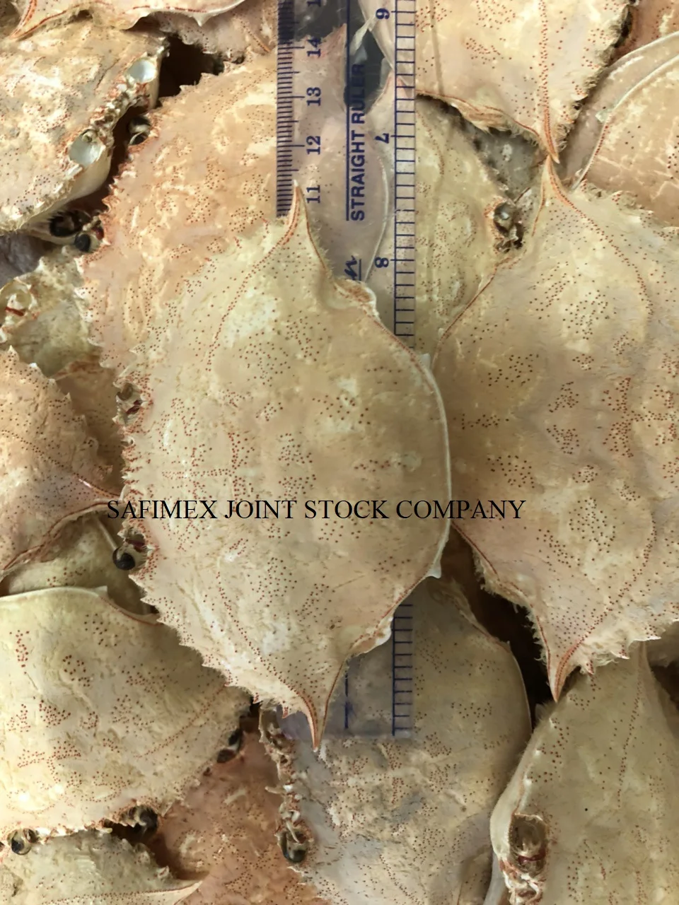 crab shell sfm