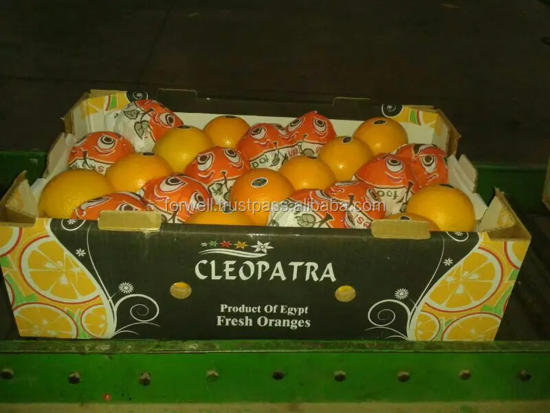 
VERY sweet FRESH oranges exporting to Russia market 
