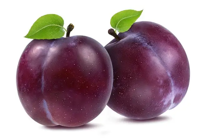 dried plum,fresh plum