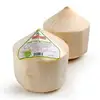 Fresh Semi husked matured Coconut,Semi Husked Coconuts suppliers