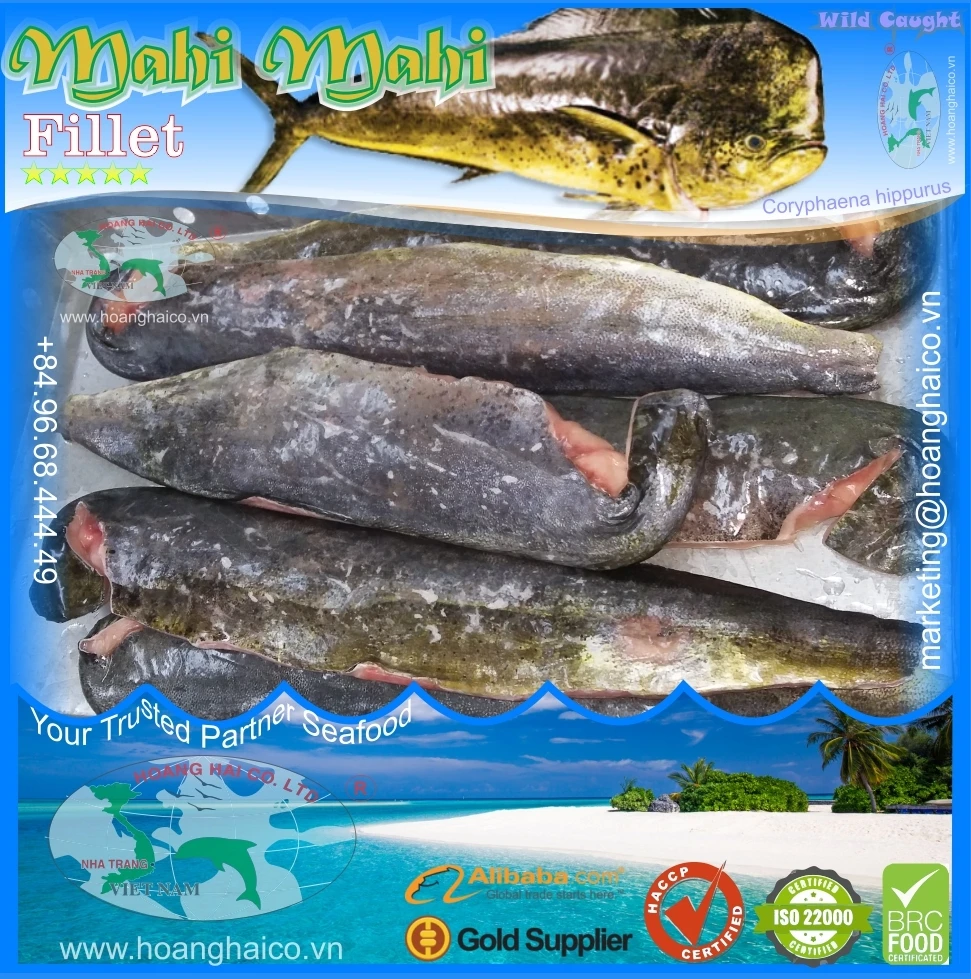 mahi mahi fillet
