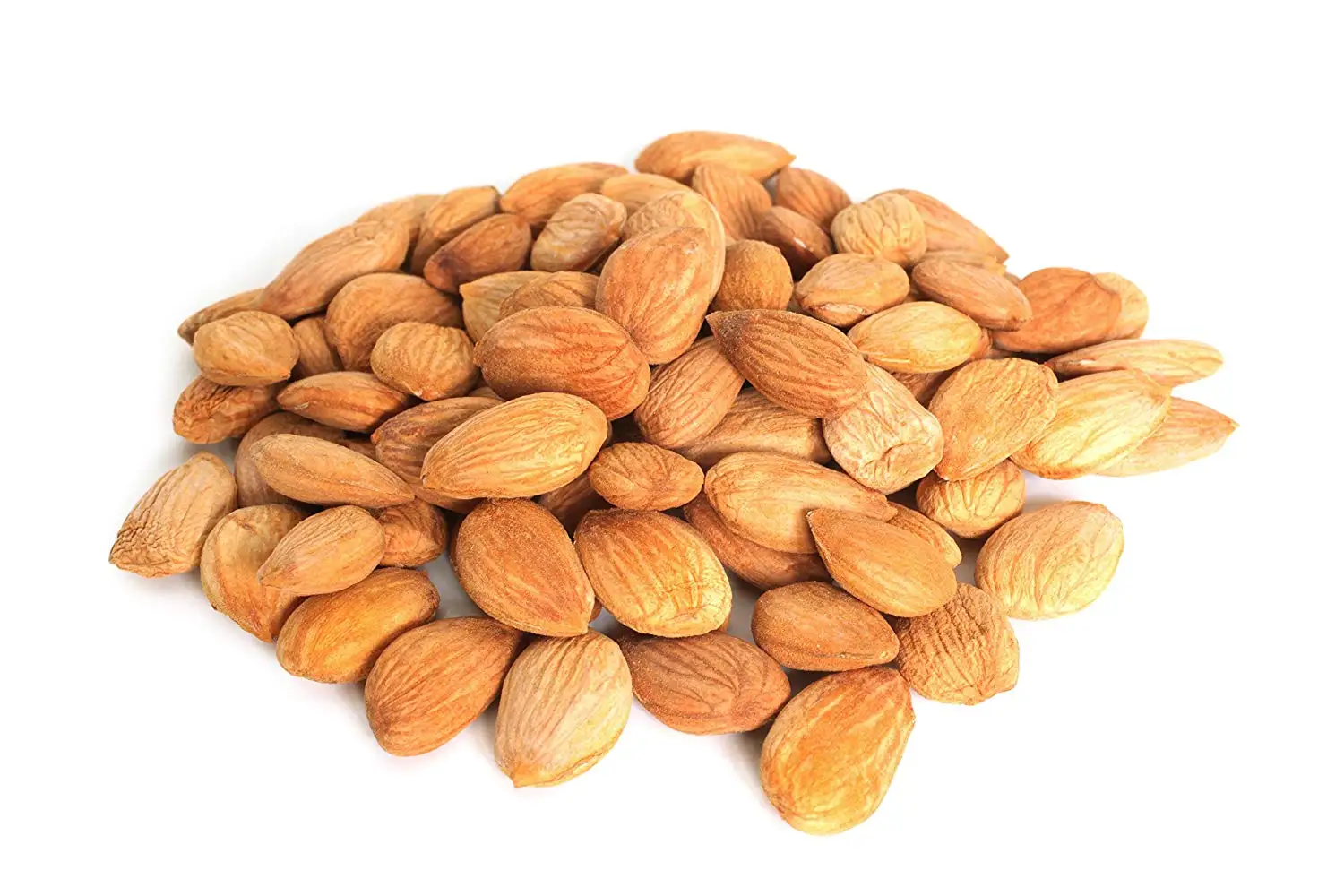 new crop bitter apricot kernels for sale sweet apricot kernel