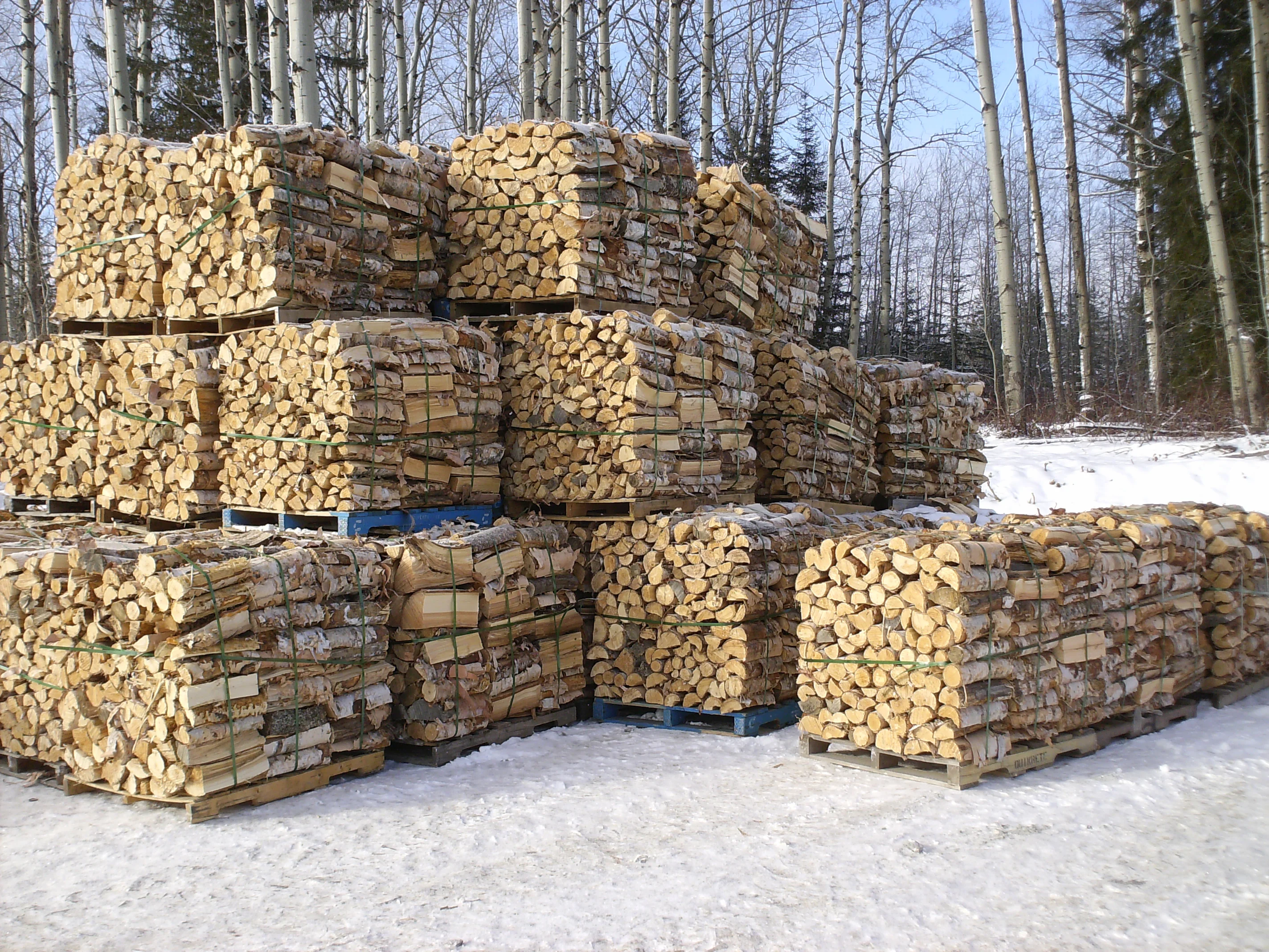 Firewood Buy Firewood For Sale Birch Firewood Firewood On