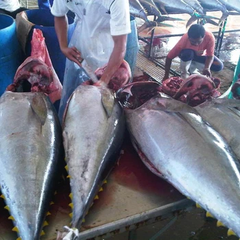 Wild Caught Frozen Yellowfin Tuna 10~30kg - Buy Yellowfin 