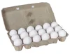 White Shelled Eggs