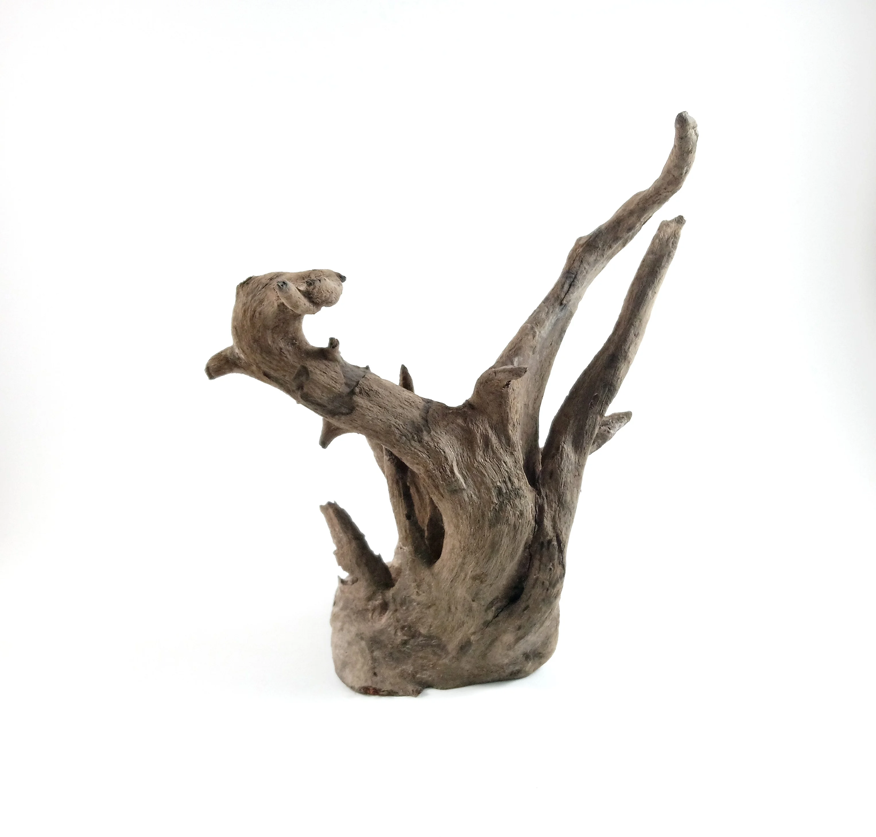 Wholesale Driftwood Buy Malaysian Driftwood,Driftwood Mangrove,Driftwood Art Product on