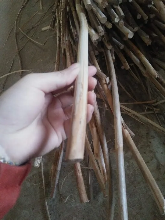 Viet Nam Rattan Cane/rattan Switch For Handicraft - Holiday +84-845-639 ...