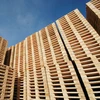 New Pine / Spruce Euro Pallets