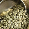 Arabica Coffee Beans Thailand (Premium Grade)