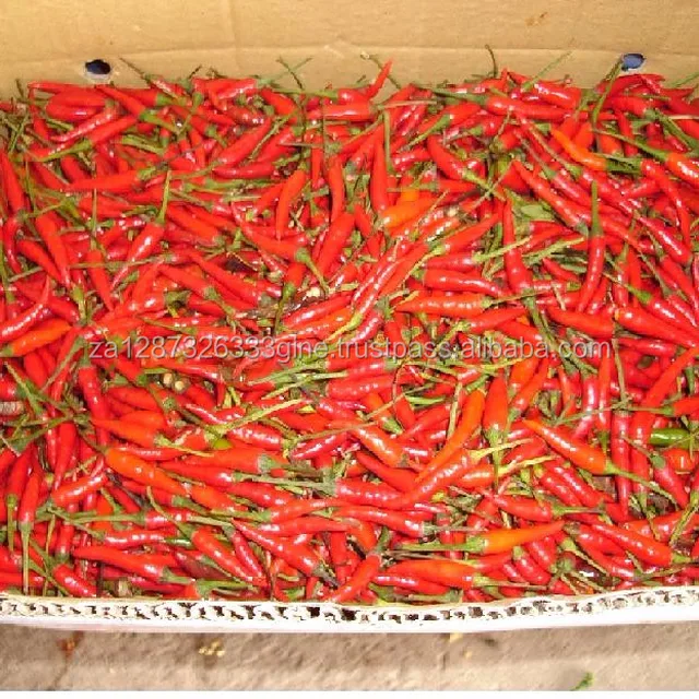 supply iqf frozen red chilli with good price