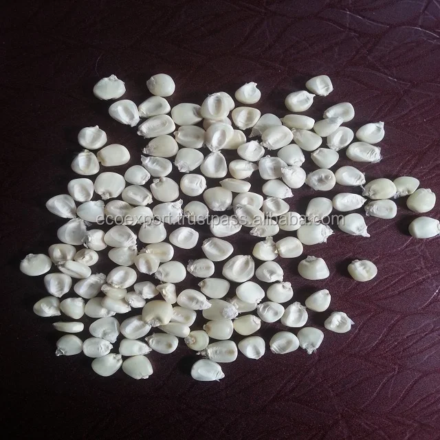 
Desi Maize 