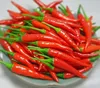 /product-detail/natural-fresh-red-chili-pepper-from-vietnam-with-good-price-50040901665.html