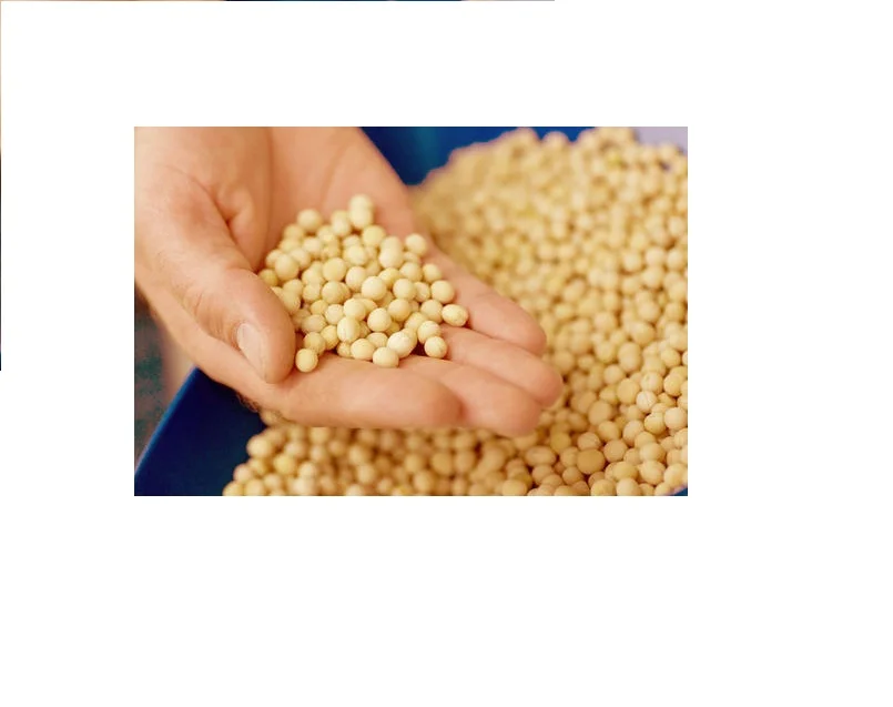 yellow-peas-500x500.jpg