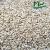 Vietnam cashew kernel for Cookies Chocolate Candy BB Grade