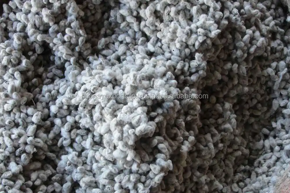 
ANIMAL FEED COTTON SEED ORIGIN INDIA FROM NIK-MAY EXPORTS LLP 