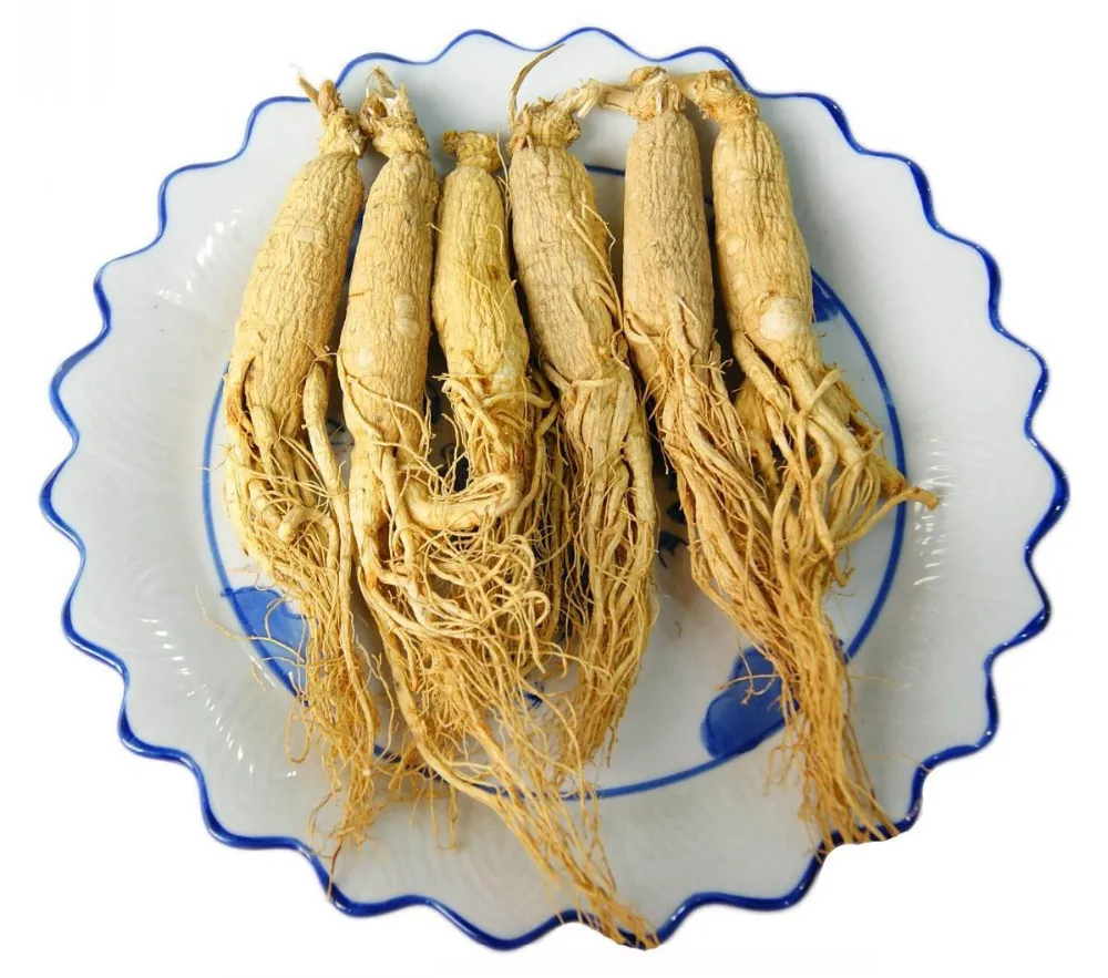 chinese panax ginseng roots extract powder health