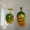 Flexible shaped drinking fruit packing pouch