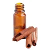 100% Pure Organic Bulk Quantity Cinnamon Bark Oil