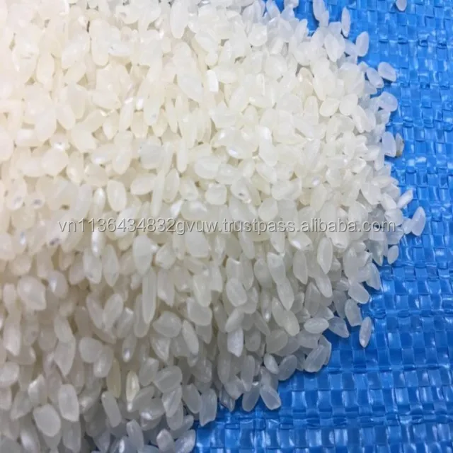 JAPONICA 2% BROKEN 14.jpg