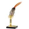 Gold tip feather ball pen