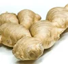 Ginger/Fresh Vegetables/Indian Ginger!