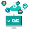 Custom CMS Solution
