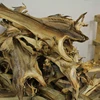 COD DRIED STOCK FISH FOR SALE