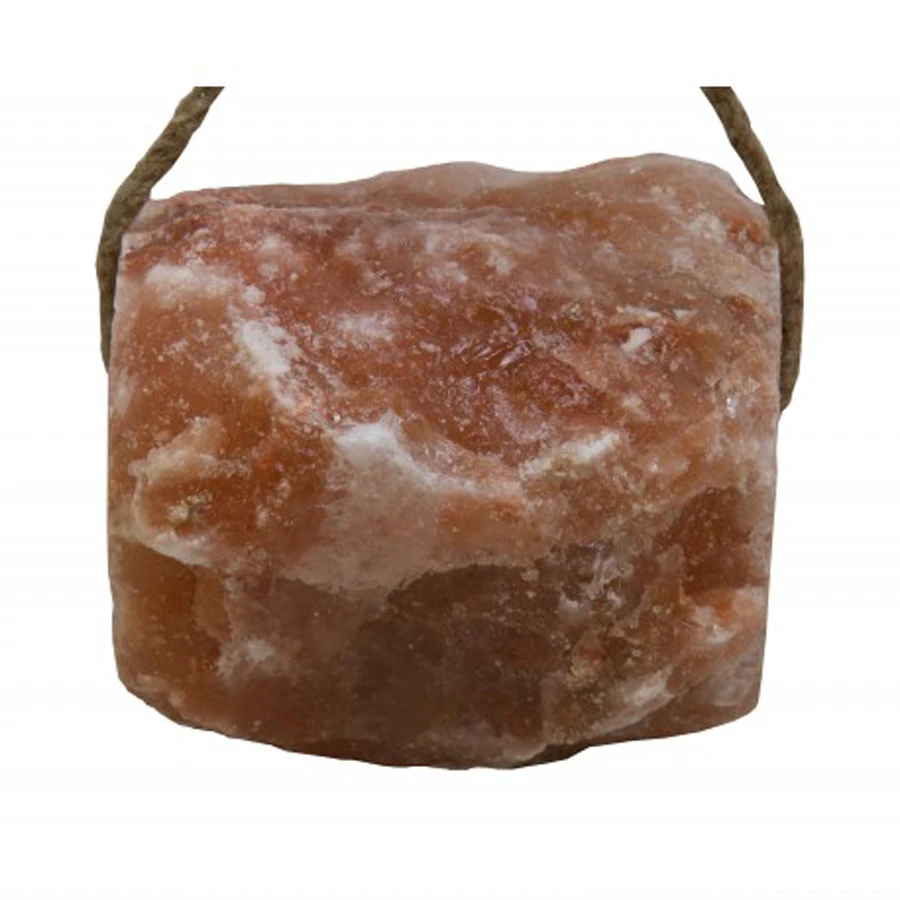 
Animal Salt Lick 