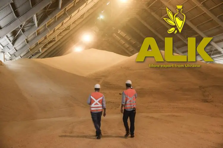 
Ukranian-Top Selling Non GMO Yellow Maize/Corn 