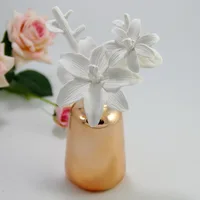 

Ceramic Home Fragrance Diffuser Flower Gift Set