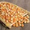 Animal feed yellow corn exporter in Brazil