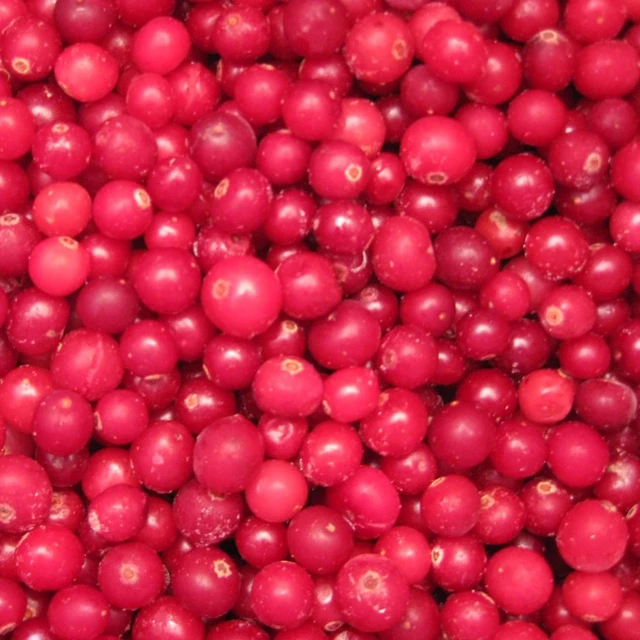 best quality frozen cranberries / frozen black currant / iqf