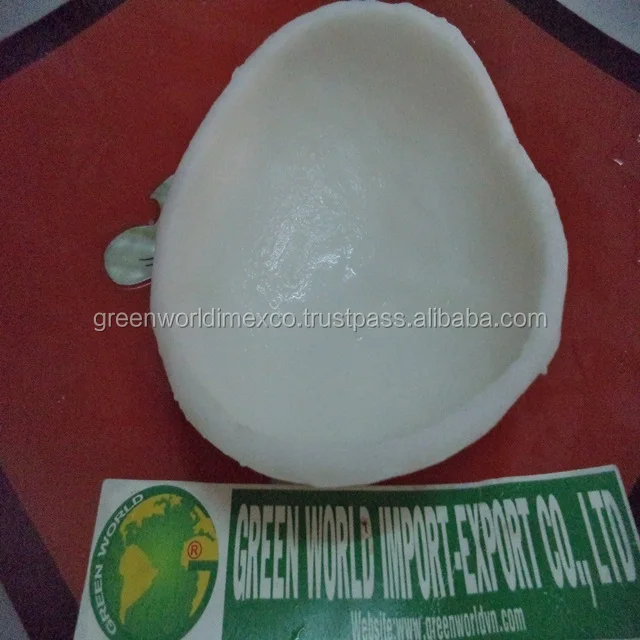 FROZEN COCONUT MEAT_FROM VIETNAM WITH HIGH QUALITY- THE COMPETITIVE PRICE FROM VIETNAM
