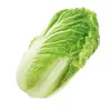 Fresh Red Cabbage from Egypt , wholesale, hot sale, Fresh vegetables prices