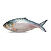 /product-detail/hilsa-fish-products-62000328973.html