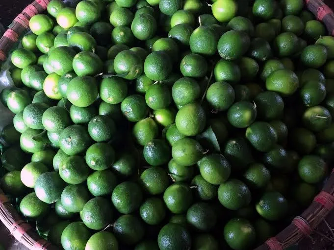 Lime Without Seeds With Best Price Buy Limewire,Lime Green,Fresh Lime